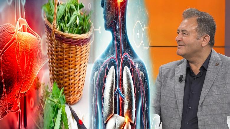 Lodhje, fryrje barku dhe pagjumësi? Ylli Merja tregon shenjat e toksinave dhe metaleve të rënda në organizëm dhe si të pastrojmë trupin natyralisht