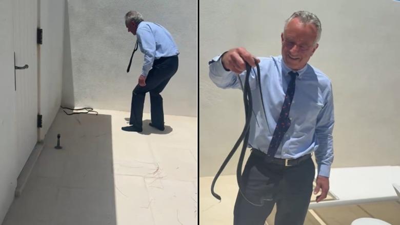Akti heroik i Robert F. Kennedy Jr, sfidon rrezikun për të kapur dy gjarpërinjtë, përfundon me kafshime prej tyre