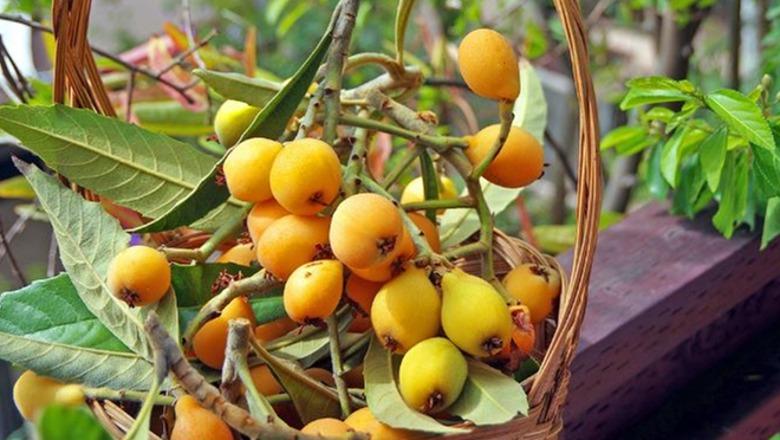 E pasur me vitamina dhe fibra, arsyet përse duhet t'i konsumojmë nespullat