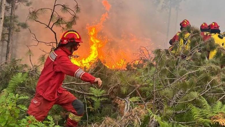 Temperaturat deri në 33 gradë celcius, IGJEO: Rrezik i shtuar për zjarre në qarqet Lezhë, Durrës dhe Fier