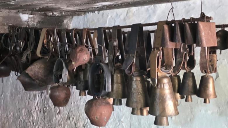 Në Kaludh te Mbreti Agron