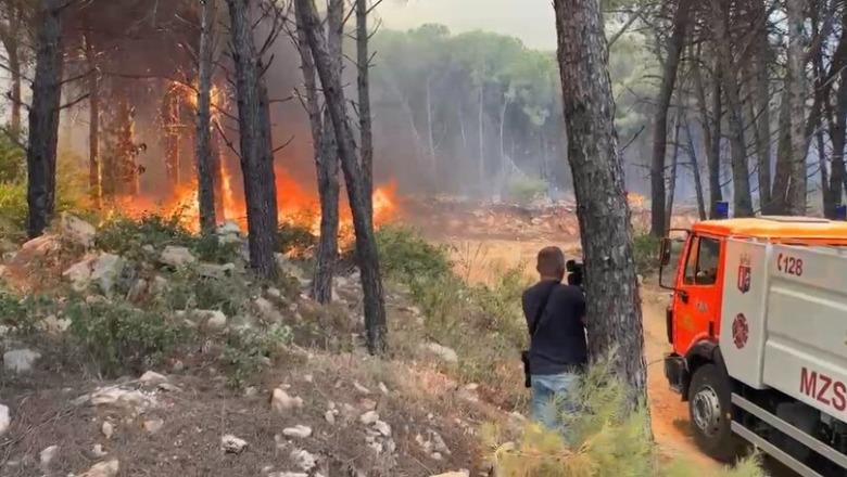 Zjarr në Ranën e Hedhur  flakët afrohen pranë bizneseve në zonën turistike të Shëngjinit