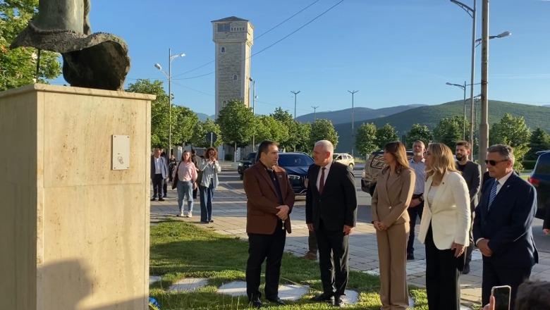 Albulena Haxhiu nga Kukësi: Kosova po shkon në zgjedhje të panevojshme, kemi nevojë për ju si në ditët e vështira të luftës