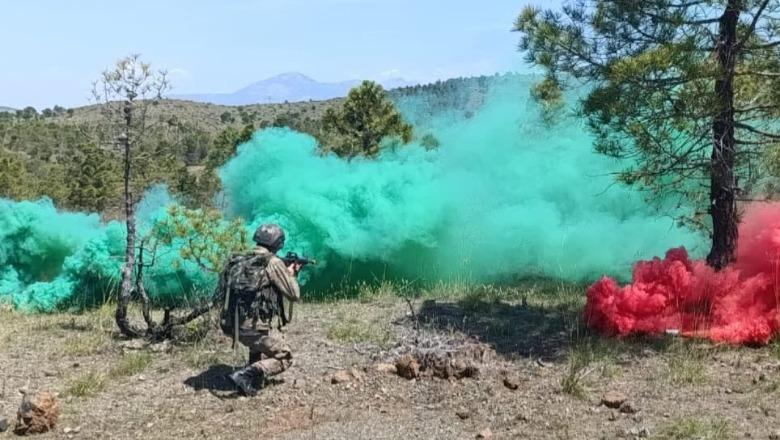 Përgatitje për misionin e NATO-s në Bullgari, ushtarët shqiptarë dhe malazezë zhvillojnë stërvitje të përbashkët në Vau të Dejës