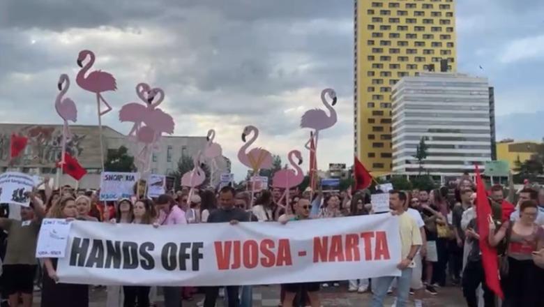 Ndërtimet në Zvërnec/ Qytetarët protestojnë për të 4-tën ditë radhazi, thirrje në kor ‘Mos e prekni Nartën’! S'ka marshim te kryeministria