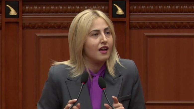 Resorti në Zvërnec, Zhupa: S’ka turizëm të qëndrueshëm me beton të qëndrueshëm, tërhiquni!