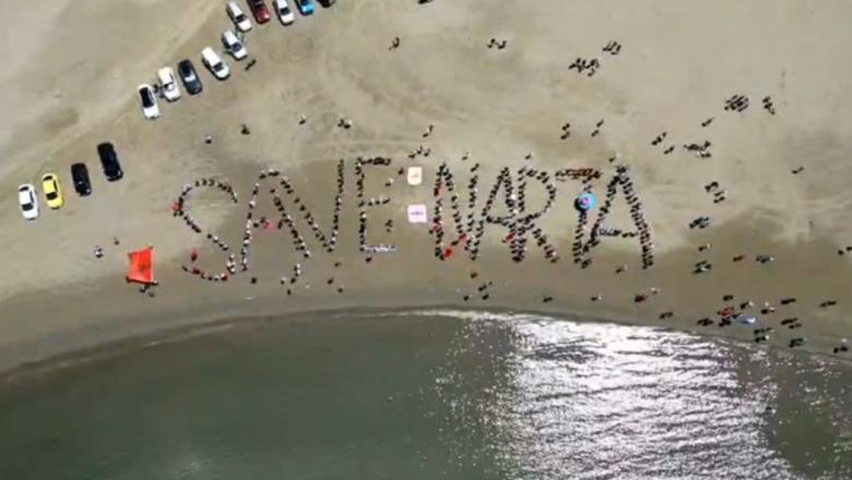 LIVE TV- ‘Narta është e jona’, protestë në Zvërnec kundër ndërtimit të resortit! Qytetarët: I japim zë flamingove, të anulohet projekti! Kauzës i bashkohet me not edhe Eva Buzo: Jam këtu për suport