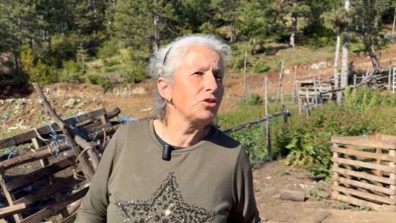 Flet nëna e vrasësit të policit: Nuk doja kurrë të ndodhte! Im bir jetonte në mal, në shtëpi kthehej vetëm për t’u ushqyer
