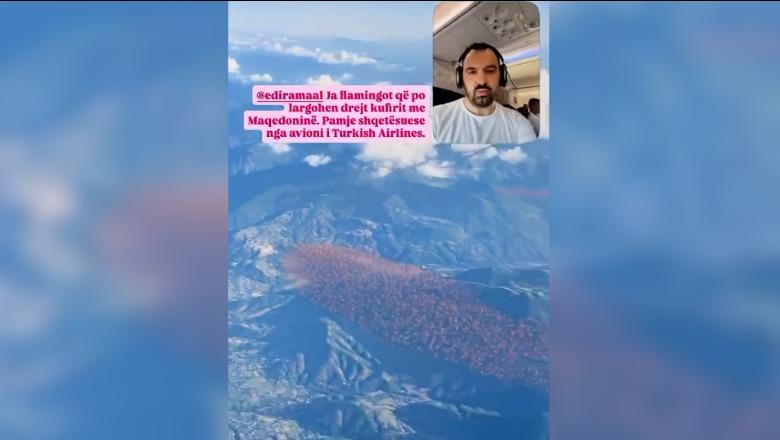 Rama ndan videon me AI që tregon flamingot duke u larguar drejt Maqedonisë së Veriut: Duhet të jesh idiot të sajosh të tilla gjëra, pasi akoma s’ka projekt për Zvërnecin
