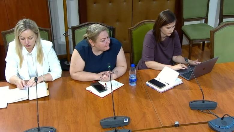 Drejtoresha e BIRN kërkon përmbajtje televizive edhe në gjuhën e minoriteteve, reagon Bido: Kristina greke, paradite shan projektin e Zvërnecit, pasdite kërkon emisione greqisht