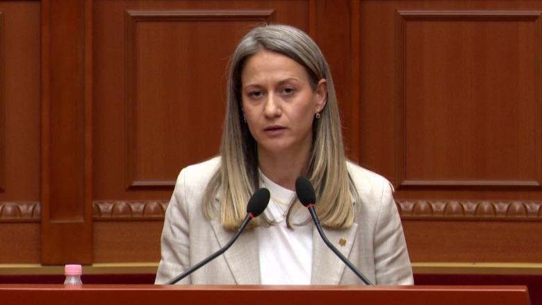 Protesta për Zvërnecin/ Ismaili: Dikur protestuesit vriteshin në bulevard, sot protestohet me fëmijët
