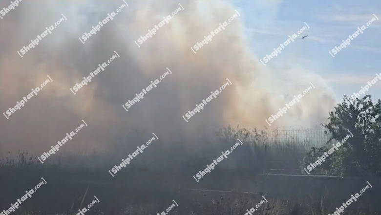 Zjarr pranë një blloku banimi në Vlorë, flakët rrezikojnë banesat! Forcat zjarrfikëse në vendngjarje (VIDEO)