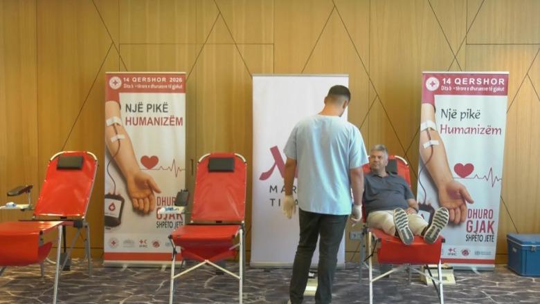 Dhurimi i gjakut, vera rrit kërkesën për rezerva! Nevojë për 60 mijë qese gjaku në vit, sigurohet vetëm gjysma! Kryqi i Kuq: Sfidë plotësimi i nevojave