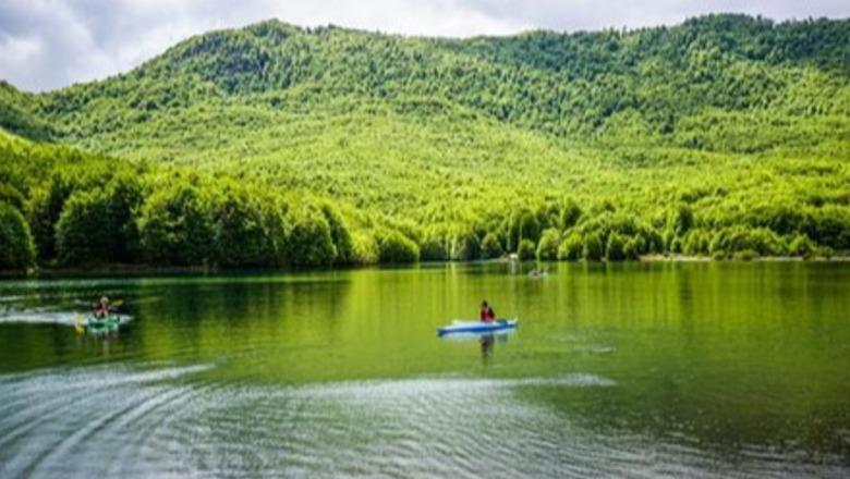 Avni Alcani: A duhet pasqyruar e plotë historia dhe kultura e trevave të Librazhdit në ‘Enciklopedinë Shqiptare’?