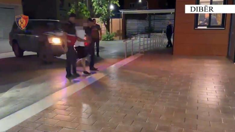 Dibër/ Zyrtarët e Kadastrës dhe një noterë tjetërsuan pronat në favor të një familje, në kërkim zv.drejtori i ASHK, noterja dhe përfituesi i pronave (EMRAT)