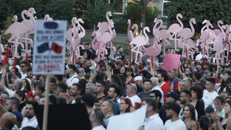 Protestat/ Rama: Rruga për në ferr është e shtruar me qëllimet e mira të 'flamengove', por ata s’pranojnë të dëgjojnë faktet