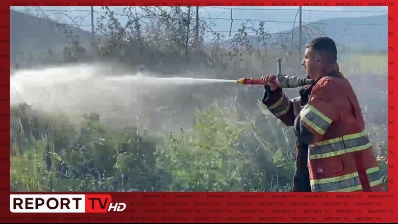 Zjarr në aksin Kukës-Gostil, tymi i dendur vështirëson qarkullimin! Flakët shuhen në kohë rekord