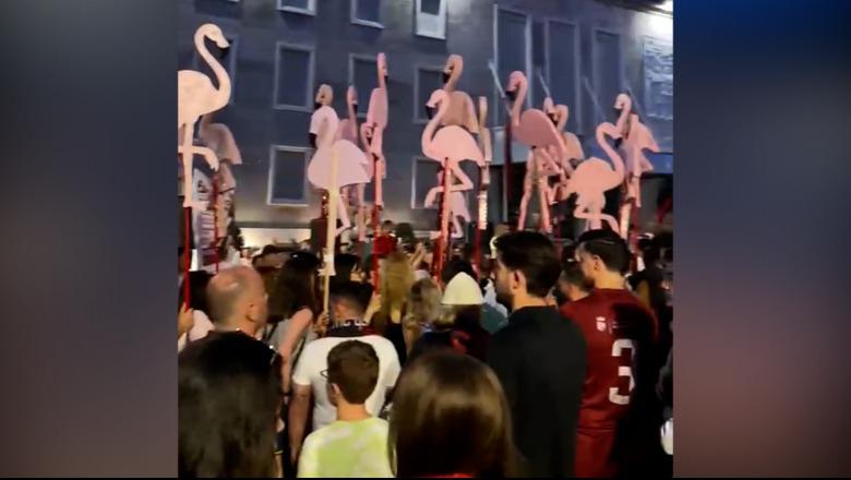 Protesta kundër investimit në Zvërnec, ‘Flamingot’ zbarkojnë në sheshin para Kryeministrisë