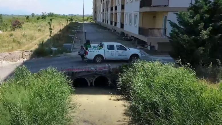Vijon procesi i dezinsektimit në territor, Ministria e Shëndetësisë: Do garantojë mbrojtjen e shëndetit publik gjatë sezonit veror