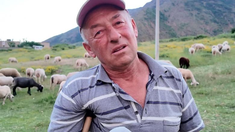 Personazh/ Mban 140 krerë dele por fitimet janë të pakta! Hysen Gjoka nga Bulqiza: Fitoj aq sa është paga minimale në vend