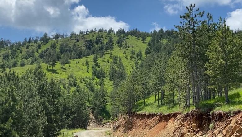 Arrni i Kukësit mes shpresës për t’u ribanuar dhe heshtjes së shtetit! Banorët rikthehen për të investuar, kryeplaku: Ka potencial turistik