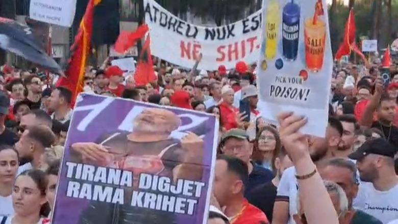 FOTOT/ Jo veç pankarta, protesta mes tullumbaceve, flakadanëve e flamingove