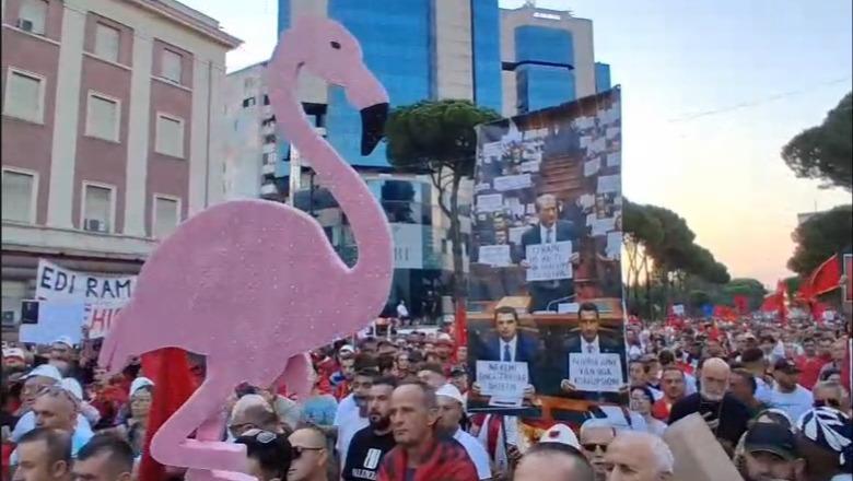 I bëri thirrje administratës të protestonte, vajzës i ndërpresin fjalën në mes