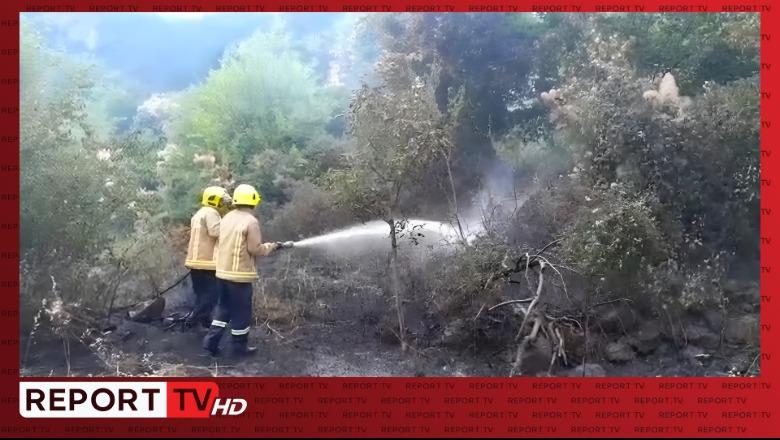 Përfshihet nga flakët kabina elektrike në fshatin Shkozë të Pukës, zjarri përhapet edhe në zonën pyjore përreth