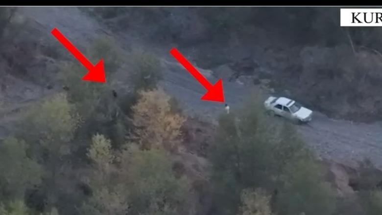 Aksion antidrogë në Kurbin, policia kap ‘mat’ në paracelën me kanabis dy të rinjtë
