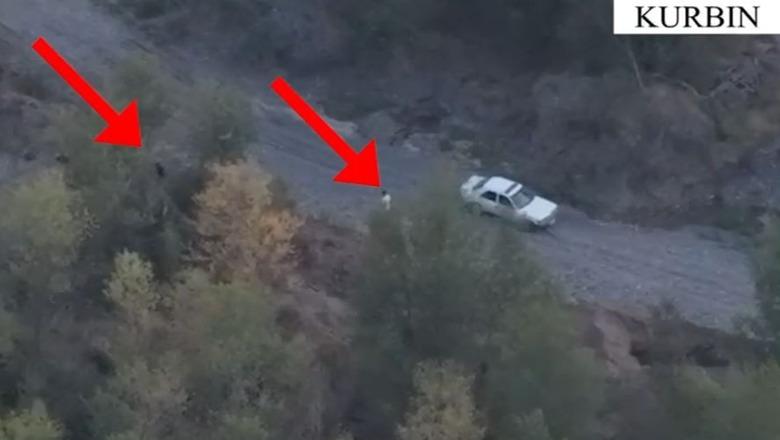 Aksion antidrogë në Kurbin, policia kap ‘mat’ në paracelën me kanabis dy të rinjtë (EMRAT)