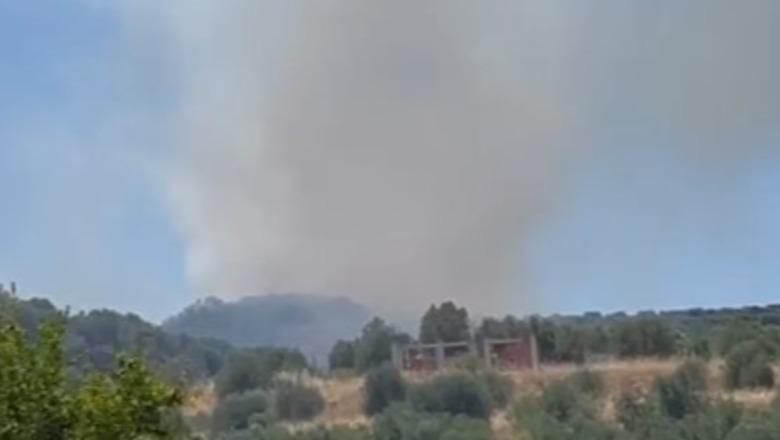 Vlorë/ Zjarr i madh përfshin Llakatundin, era e fortë përhap me shpejtësi flakët