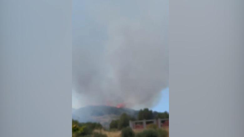 Vlorë/ Zjarr i madh pranë fshatit Llakatund, era e fortë përhap me shpejtësi flakët