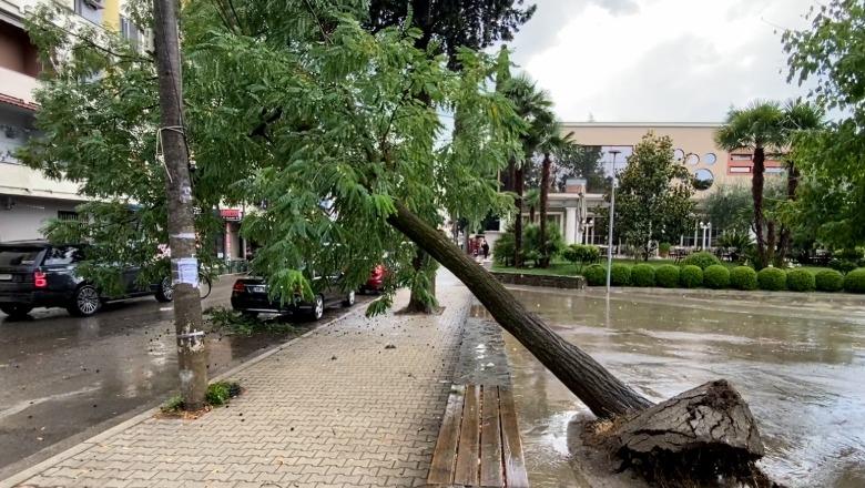Elbasani ‘goditet’ nga një stuhi e fortë ere dhe shiu, përmbytje në disa zonë të qytetit! Pemë të thyera, karrige dhe kosha mbeturinash në rrugë (VIDEO)
