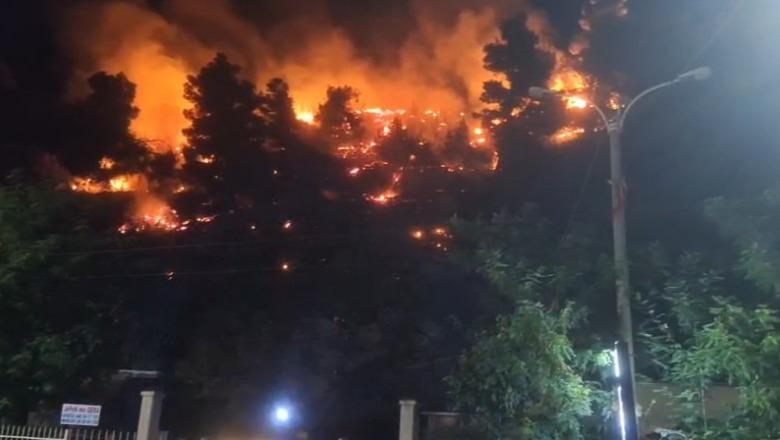 Zjarr në malin e Shëngjinit, flakët kërcënojnë zonat e banuara, i afrohen edhe rrugës kryesore