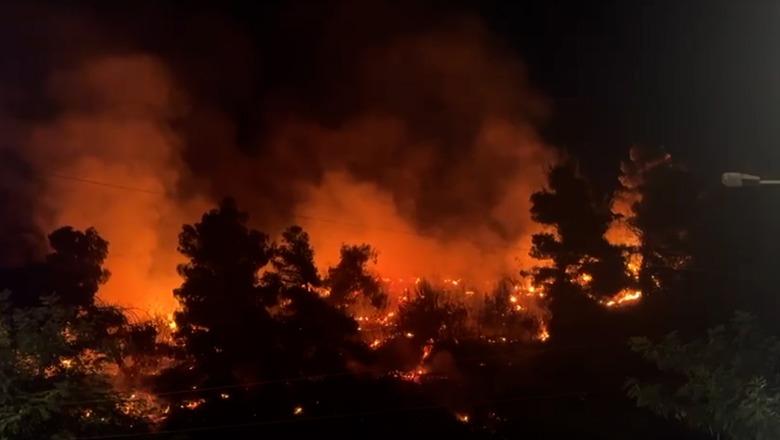 Lezhë/ Zjarr në malin e Shëngjinit, digjen sipërfaqe të konsiderueshme! Zjarrfikësit vijojnë punën prej mbrëmjes së djeshme për fikjen e vatrës