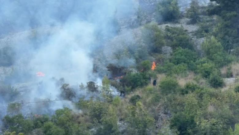 Lezhë/ Zjarri në malin e Shëngjinit, digjen sipërfaqe të konsiderueshme! Zjarrfikësit vijojnë punën prej mbrëmjes së djeshme për fikjen e vatrës