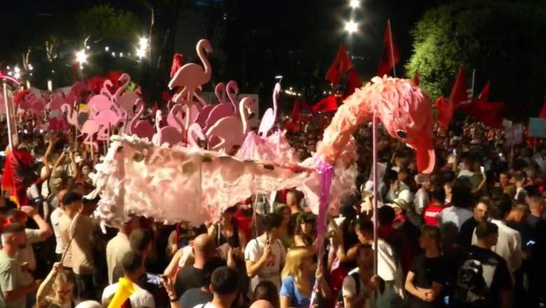 Protesta para kryeministrisë, rikthehet parada e flamingove