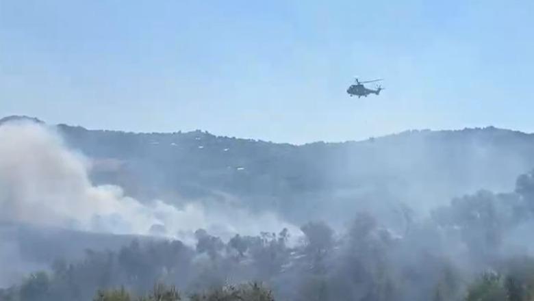 Zjarr në Drizë të Fierit! Flakët edhe drejt fshatit Peshtan, nis ndërhyrja nga ajri! Dyshohet i qëllimshëm (VIDEO)