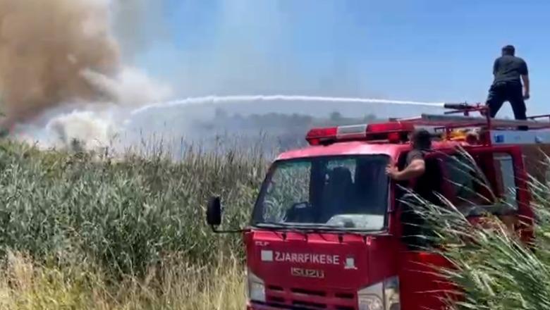 Zjarr pranë plazhit të Tales në Lezhë! Punohet për shmangien e flakëve drejt banesave dhe bizneseve (VIDEO)