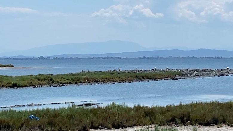 Peshkimi në lagunën e Karavastasë në krizë, Ekspertët: Rrezik ekosistemi! Peshkatari: Ka ndikuar edhe moti