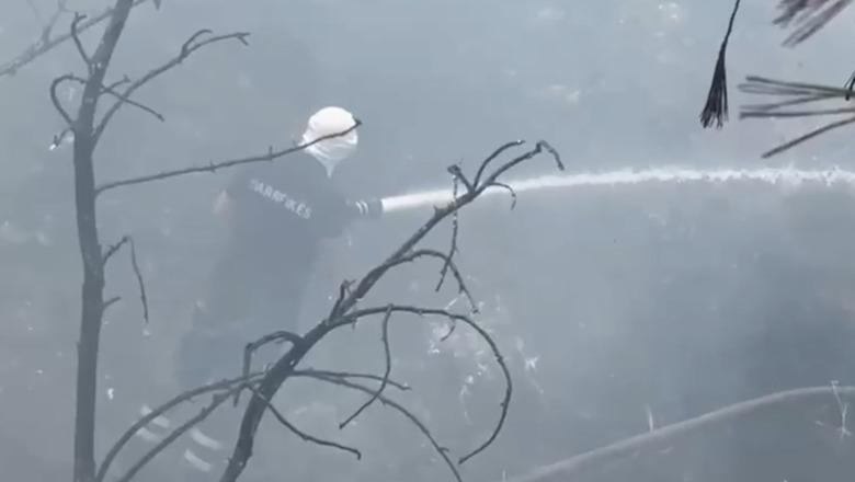 Zjarr në lagjen '15 Tetori' në Vlorë, digjen shkurre dhe bimësi