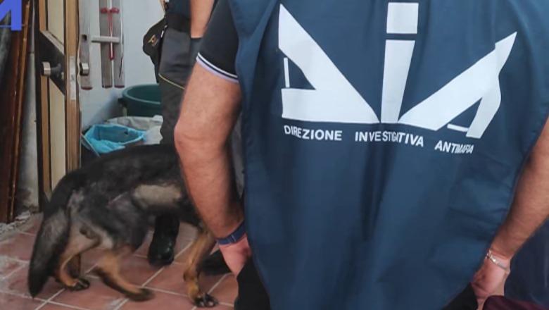 Droga nga Shqipëria drejt Italisë me autobusë linje, gra dhe të mitur si korrierë! 23 të arrestuar