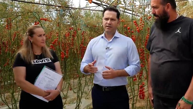 Kompensimi 10% i TVSH-së, fermerët pritet të përfitojnë 13.8 mln euro për shitjet gjatë 6 muajve të parë të vitit! Malaj bën thirrje për aplikim 