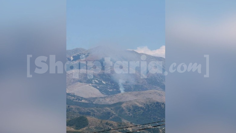 Finiq/ Zjarr pranë fshatrave Zminec e Karroq, flakët djegin bimët