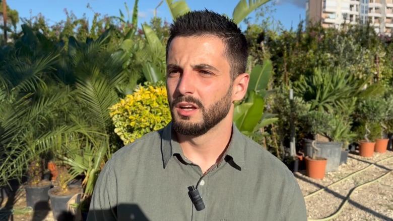 Diploma s’mjafton, mbi 17 mijë të papunë me arsim të lartë! I riu nga Vlora me specializime në SHBA e Itali: Ankesë deri te kryeministri prej burokracive në punësim
