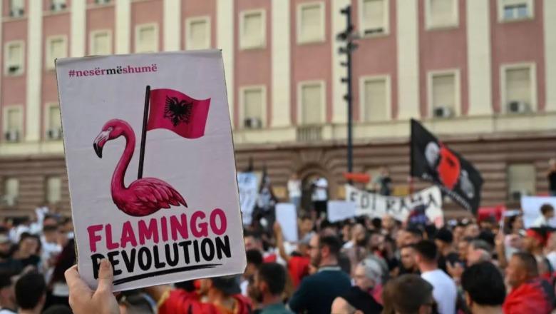 Ylli Pata: Mitizimi i revolucionit që braktisi flamingot