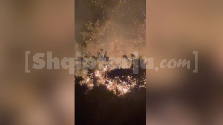 Zjarr në Gjirokastër, dy vatra aktive në fshatrat Andon Poçi e Hundkuq (VIDEO)
