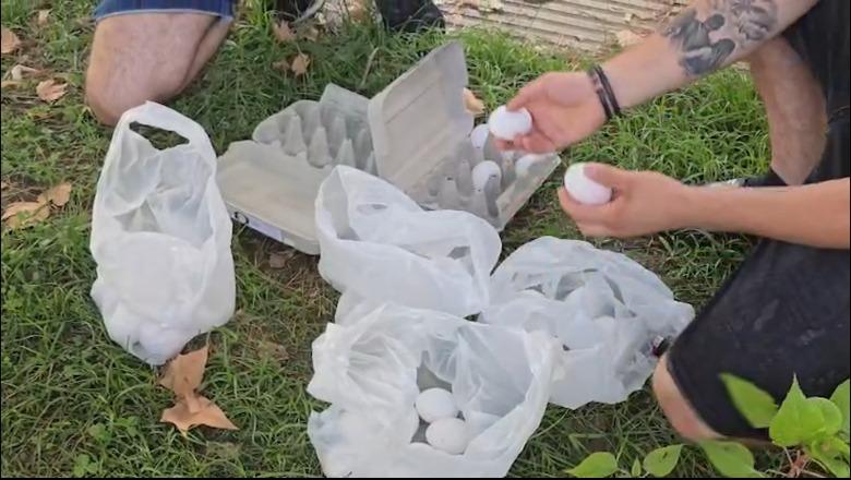 Sot Kuvend, PD mbledh deputetët për të vendosur nëse do shkojnë në seancë!