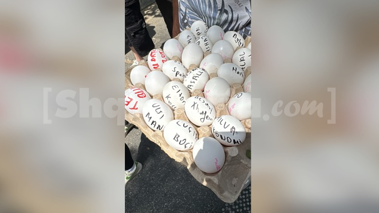 Protestuesit 'personalizojnë' vezët me emrat e deputetëve para Kuvendit