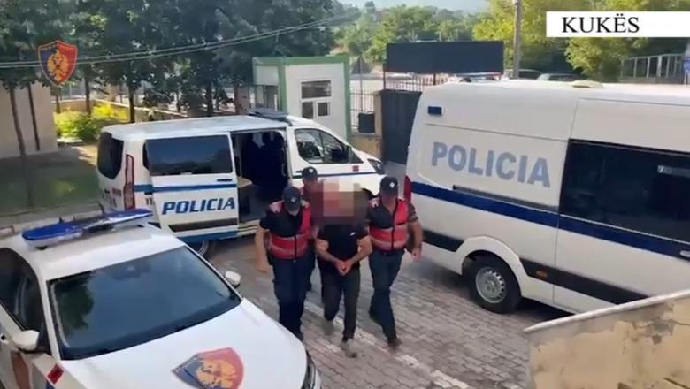 Kukës/ Kultivoi 215 bimë kanabisi bashkë me djalin, arrestohet 63-vjeçari i shpallur në kërkim, procedohet edhe bashkëshortja